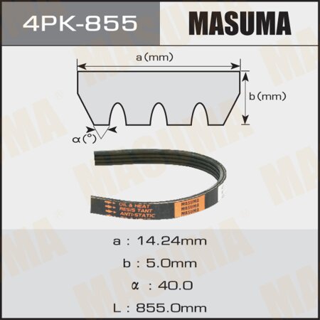 Drive V-Ribbed belt Masuma, 4PK-855